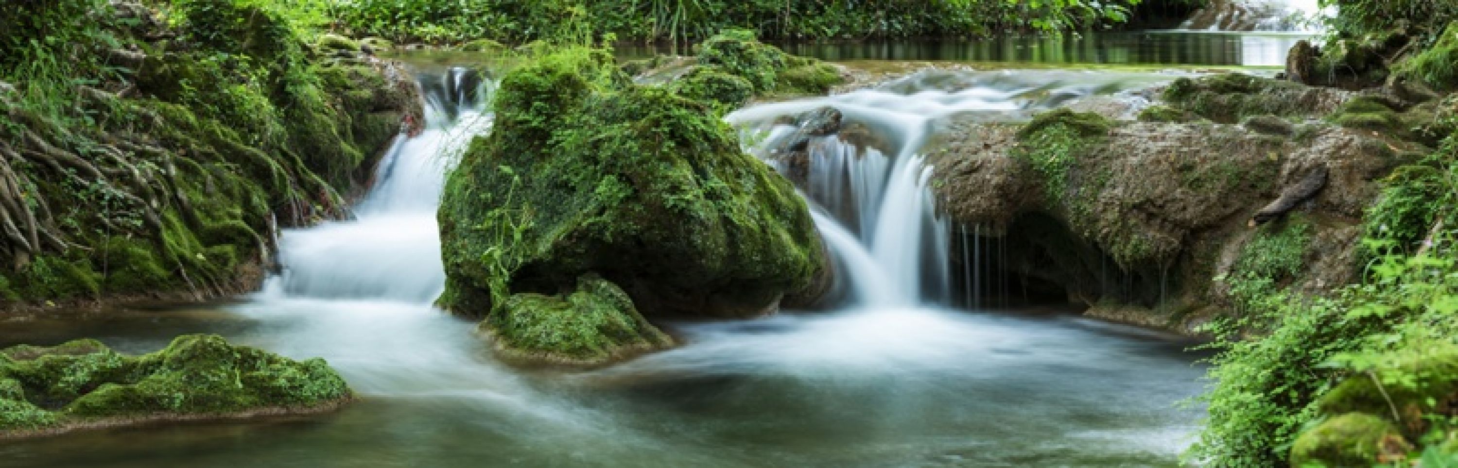 Duschrückwand "Grüner Wasserfall"